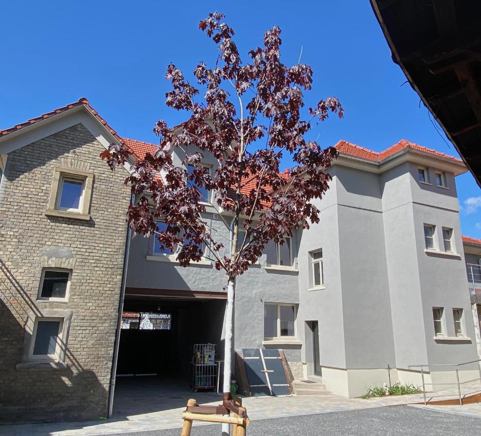 Hotel Buergerhausloewen Philippsburg Zewnętrze zdjęcie